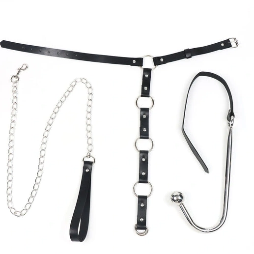 Anal Hooks EverydayUse Hook and Leash Anal 5853 with Collar Kinky 1016